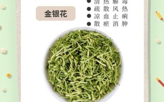 金银花哪个品种功效最好？