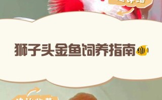 狮子养殖方法和注意事项