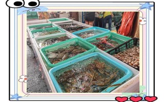 南昌水产品批发市场现状如何？