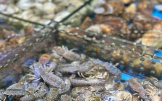 盛汇广场南坪水产市场有何特色？