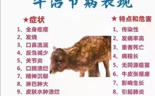 养牛5号病最佳治疗方法是什么？