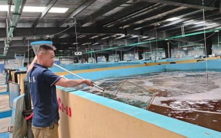 成都附近水产养殖基地