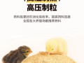小鸡喂什么饲料长得快