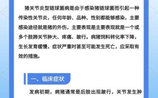 猪链球菌最佳防治方法是什么？