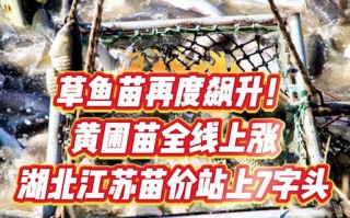 湖北水产苗种管理办法有何新变化？