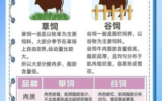 饲料喂牛有什么危害