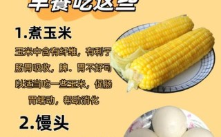 精饲料中玉米起什么作用