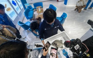 烟台水产公司稽查部长职责是什么？