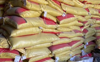 牛的主要饲料是吃什么