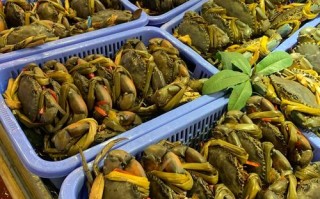 华南海鲜批发市场曾有何特殊问题？