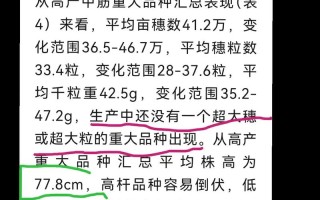 中麦255小麦品种有何特点？