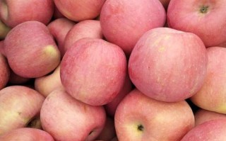 河北适合种哪些苹果品种？