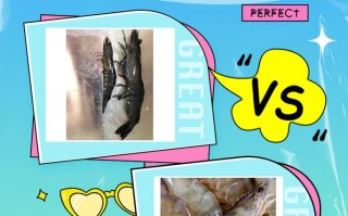 草虾养殖及管理方法有哪些要点？