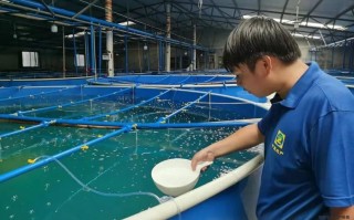 中正水产科技有何核心技术优势？