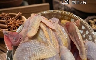 散养黑土鸡的关键方法有哪些？