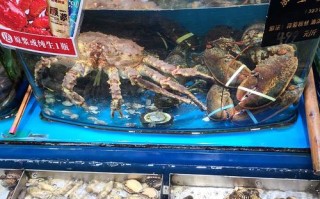 青岛水产有限公司主营什么产品？