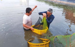 芜湖周边适合养殖什么水产
