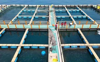 深海网箱养殖采用什么材料