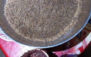 蜜蜂的饲料是什么