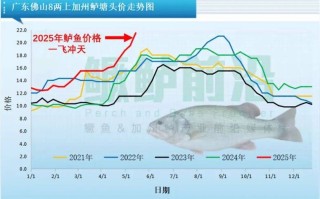 2025水产低价骗局，为何多人上当？