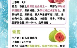 无花果品种有哪些？名称图片速览。