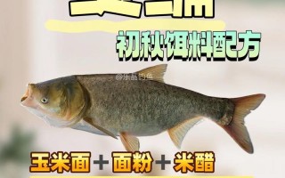 花鲢吃什么饲料吗