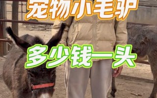 驴的品种多样，价格差异大，具体是多少？