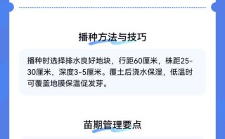 秋玉米何时种？怎么种才高产？