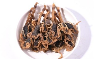 市场干蝎子是什么品种？