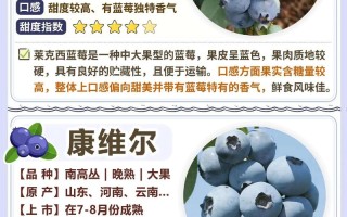 哪种蓝莓品种能一年挂果？