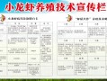 小龙虾养殖靠什么因素