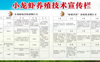 小龙虾养殖靠什么因素