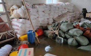 金洋水产养殖有限公司怎么样？