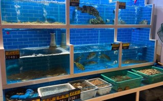 水产2473291Z空间是什么？