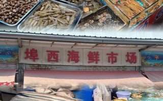 石家庄水产批发市场具体位置在哪？