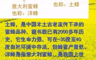 意蜂有没有定点的品种