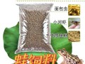 喂蝌蚪用什么饲料