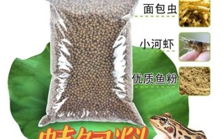 喂蝌蚪用什么饲料