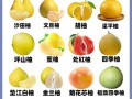 哪些柚子品种何时成熟？
