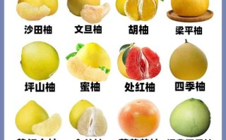 哪些柚子品种何时成熟？