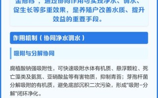 芽孢杆菌水产使用有哪些禁忌？