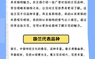 哪些兰花品种好养？附图片推荐