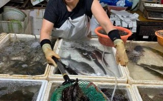 华东水产品交易批发市场运营现状如何？