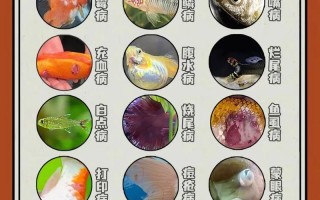 中国水产养殖病害现状如何？