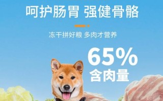 养土狗吃什么饲料