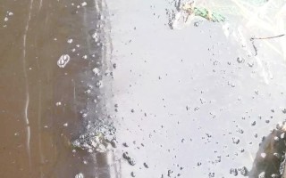 水产养殖高温天气怎么办？