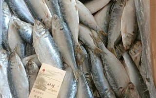 兴化鲫鱼批发价多少钱一斤？