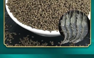 什么龙虾饲料最好