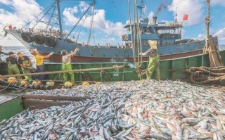 海水养殖场如何高效养殖某水产品？