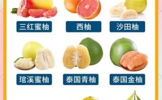 优质柚子品种如何高效繁殖？